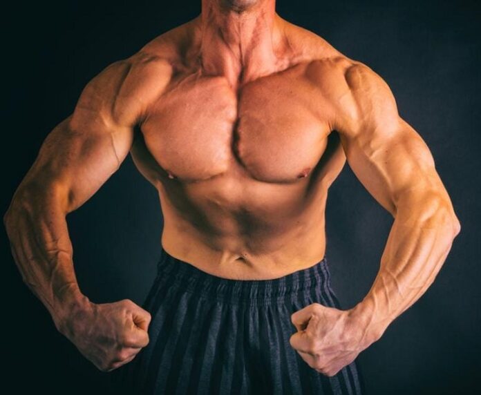 2021_9image_12_03_321392715bodyfood