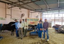 ਜ਼ਿਲ੍ਹਾ ਸੰਗਰੂਰ ਵਿੱਚ ਅੱਠਵੇਂ ਰਾਊਂਡ ਦੀ ਮੁਫਤ ਮੂੰਹ ਖੁਰ ਵੈਕਸੀਨੇਸ਼ਨ ਮੁਹਿੰਮ ਦੀ ਕੀਤੀ ਸ਼ੁਰੂਆਤ